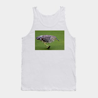 Juvenile Black-crowned Night Heron Tank Top